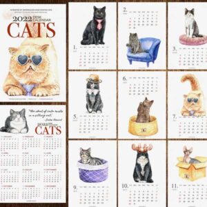 Best Cats Calendars 2022 | Meowpassion