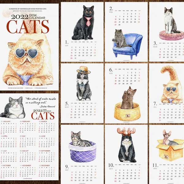Monthly cat desk calendar with cute cats in funny clothes or places