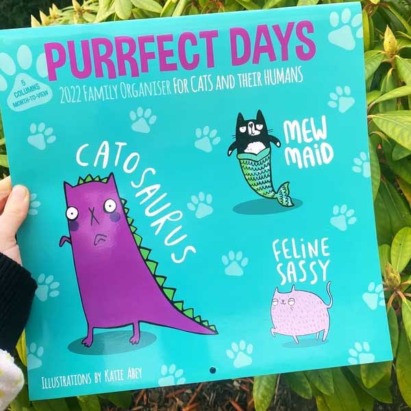 Three funny illustrations of catosaurus, meowmaid, and feline sassy