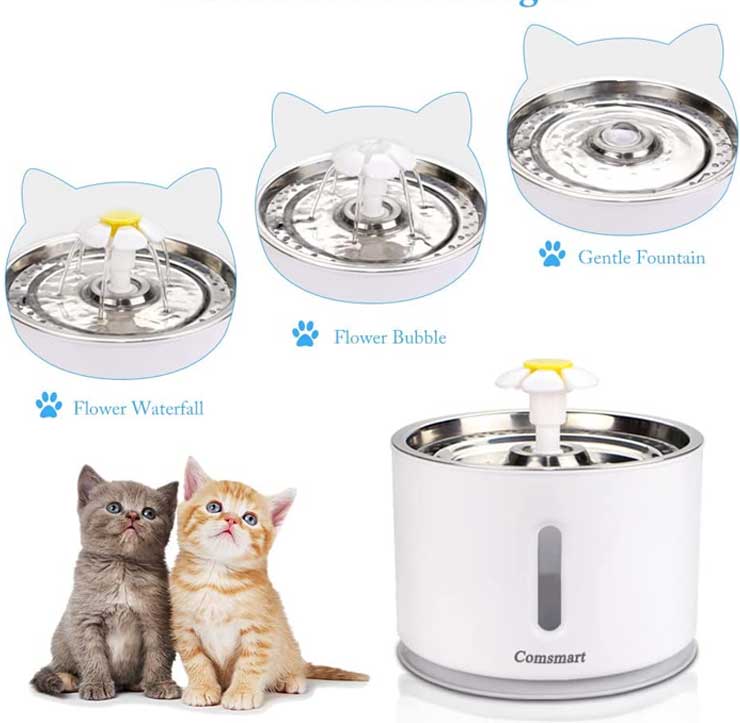 two small kittens sitting next to a white stainless steel water fountain for pets designed by Comsmart