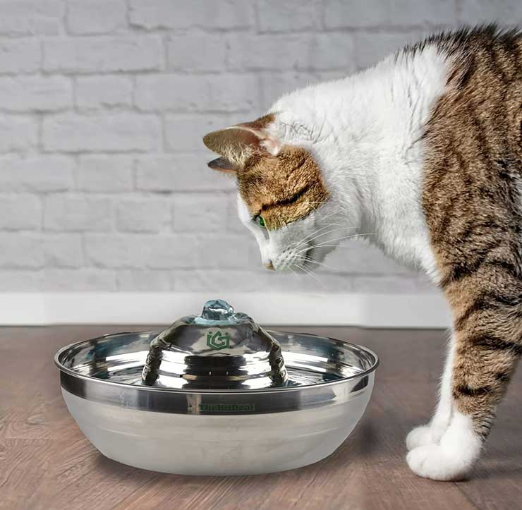 A ginger-white cat is drinking water from the HitDeal water fountain 