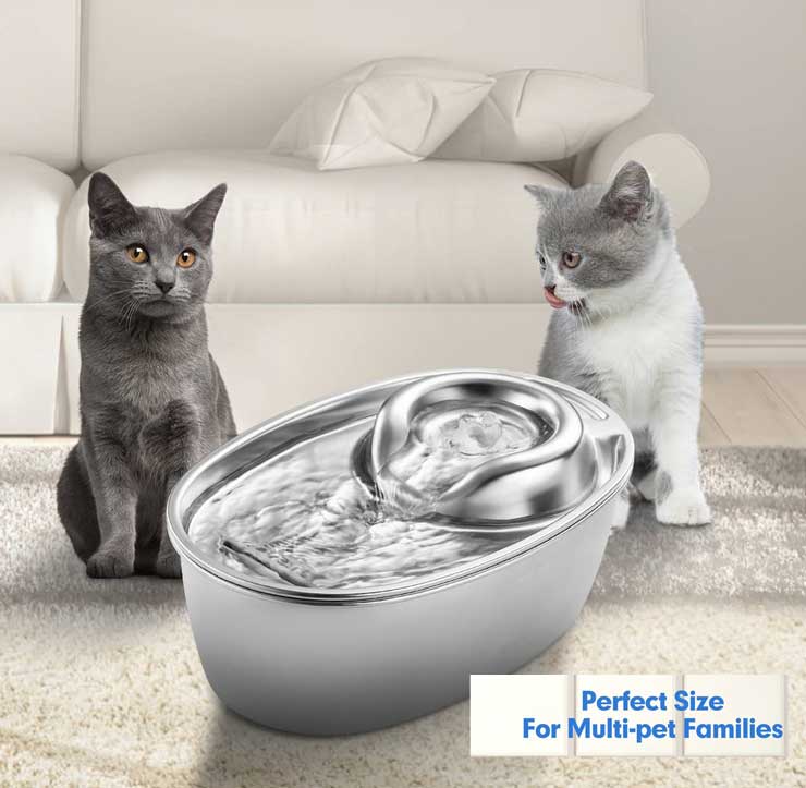 Dark gray and white-and-gray cats sitting next to a Wopet cat drinking fountain 