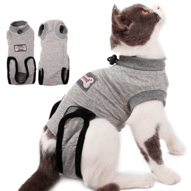 Top Surgery Suits For Cats That Will Help Your Kitty Heal In Style