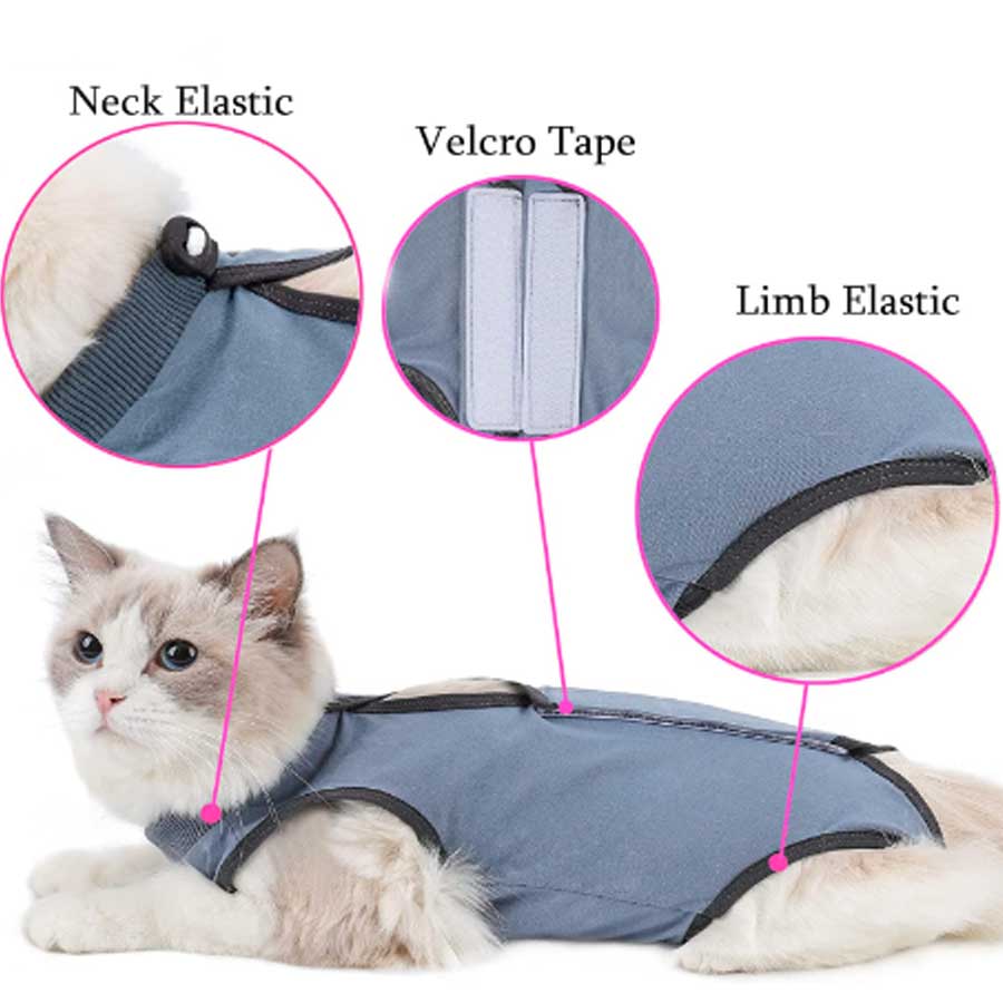 A white kitty is relaxing in a gray recovery suit 