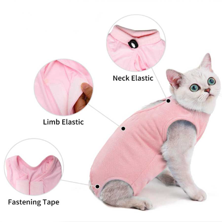 A white cat with big blue eyes wearing a pink surgery suit for cats