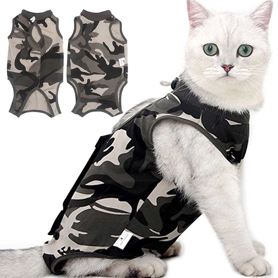 a white cat with greenish eyes wearing a  moro recovery suit
