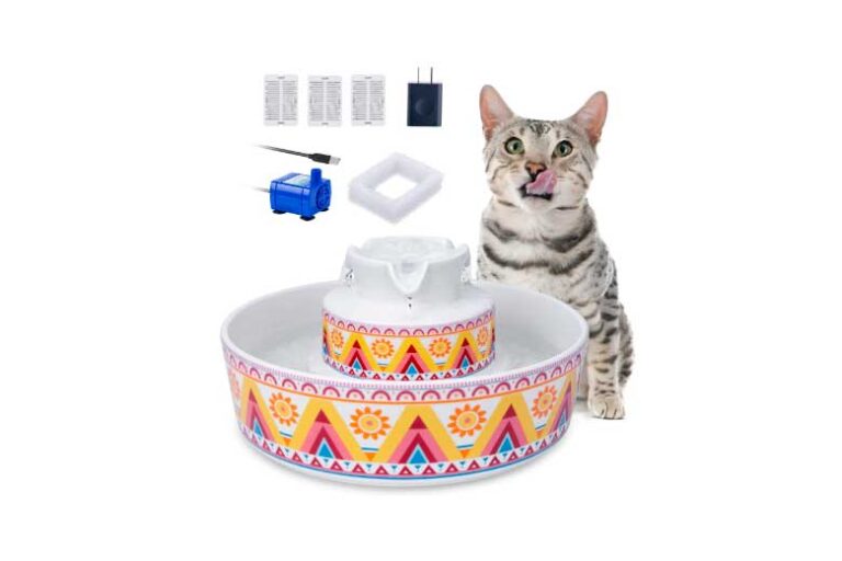 Stylish Ceramic Cat Fountains— Upgrade Your Cat's Hydration