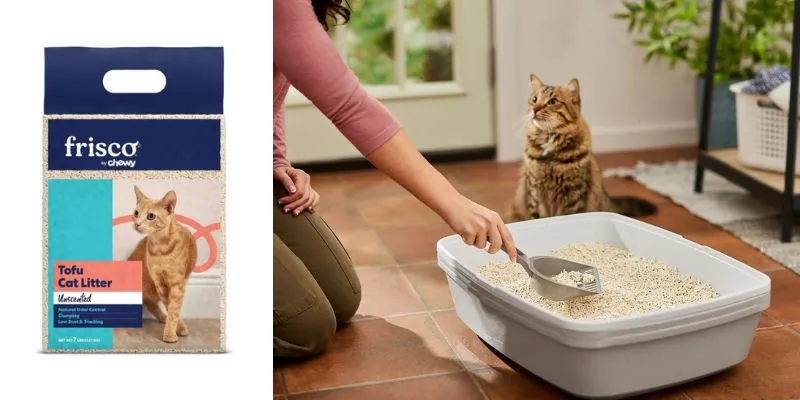 Frisco Tofu Clumping Cat Litter bag and a cute brown cat patiently waiting next to its litter box while a dedicated woman cleans up. 
