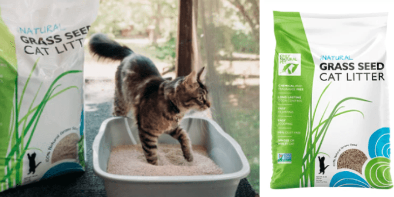 OnlyNatural grass cat litter 